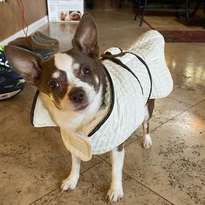 Meet your Posher, Sean